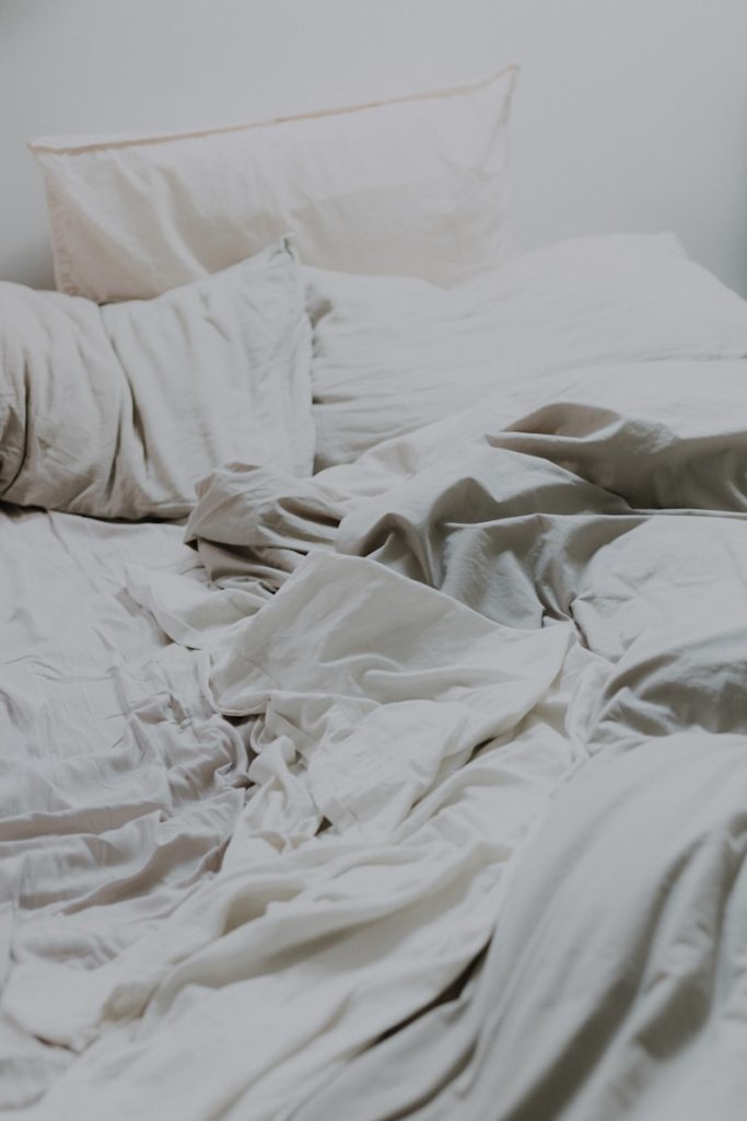 comment identifier les punaises de lit ? Guide complet